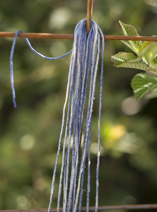 6a00e54f9f0f57883401774436663e970d-800wi