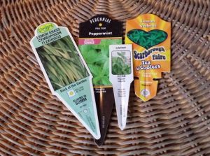 natural-mosquito-repelling-planters-container-gardening-gardening-pest-control (1)