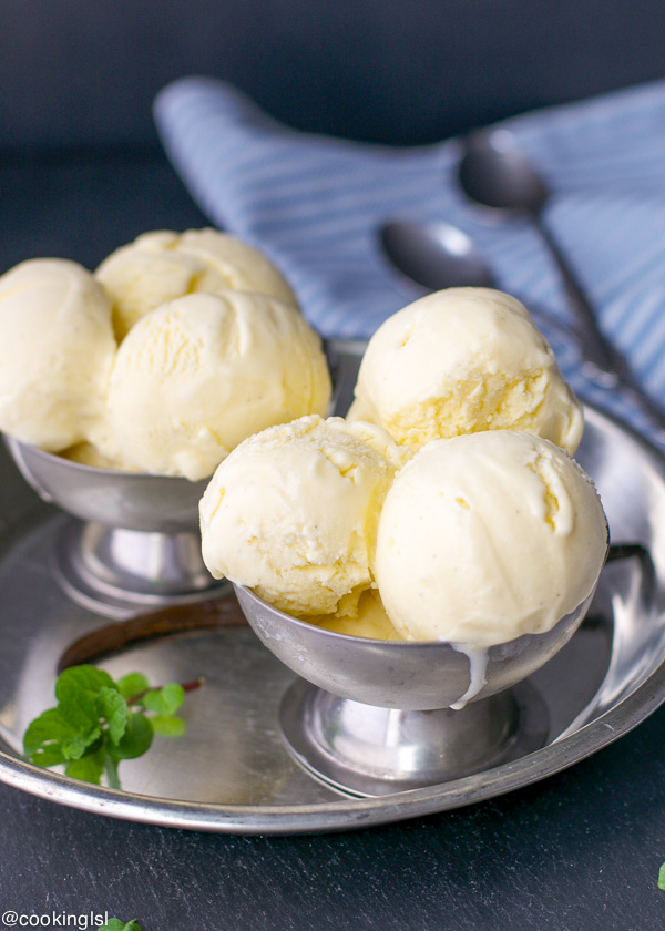 best-vanilla-bean-ice-cream-3-1