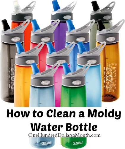 How-to-Clean-a-Moldy-Water-Bottle