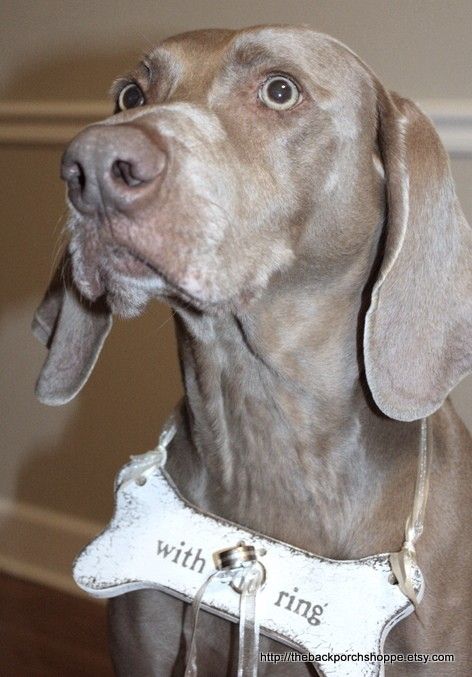 2d06595a70f074532bfbe3b5fdc42005