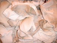 ce159932da5f2a46f55257527b9c9885