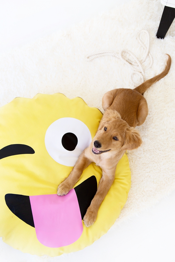 emoji-dog-bed-4-600x900