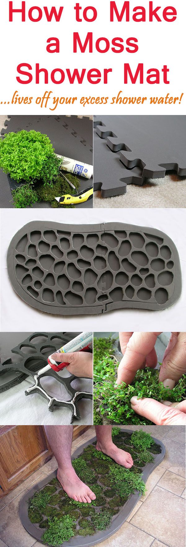 4088eefb184d8374481b2284bdcbbaa6